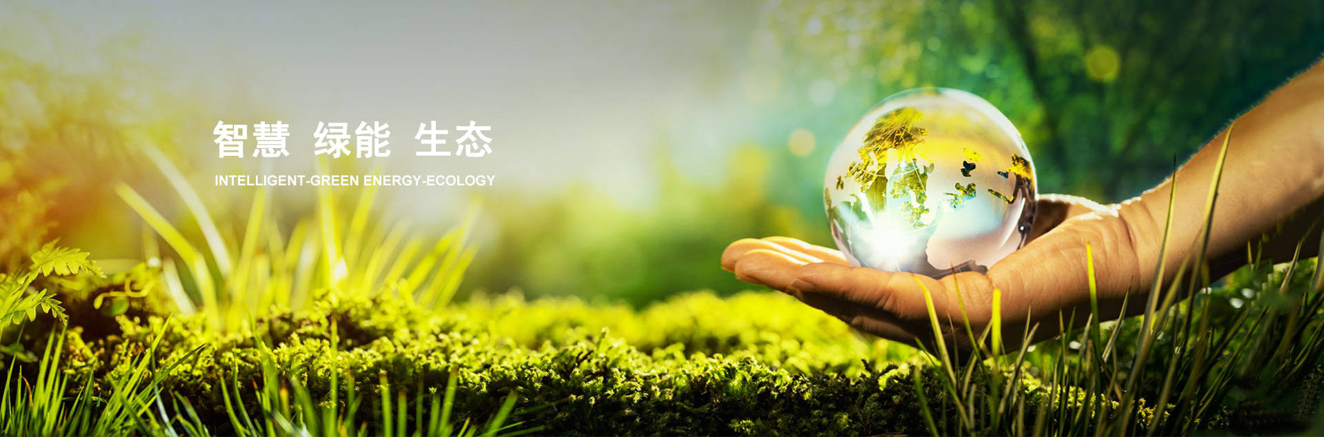 南宫NG28相信品牌的实力网址(中国游)官网